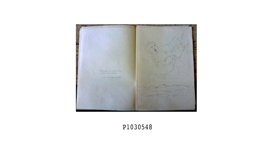 mss